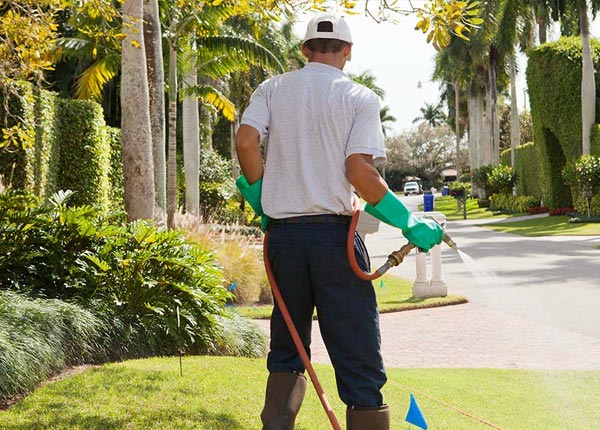 About Clairfield TN Pest Control Pros